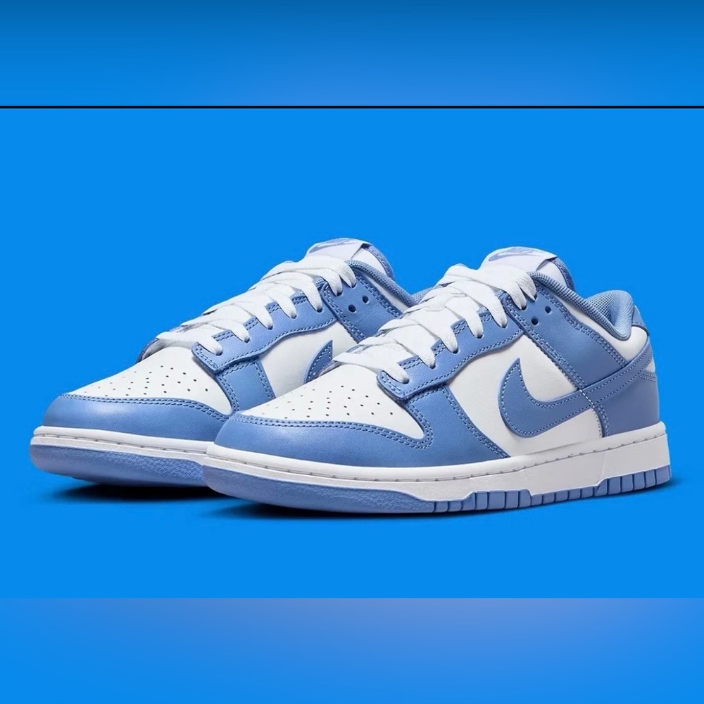 Nike Dunk Low "Polar Blue"